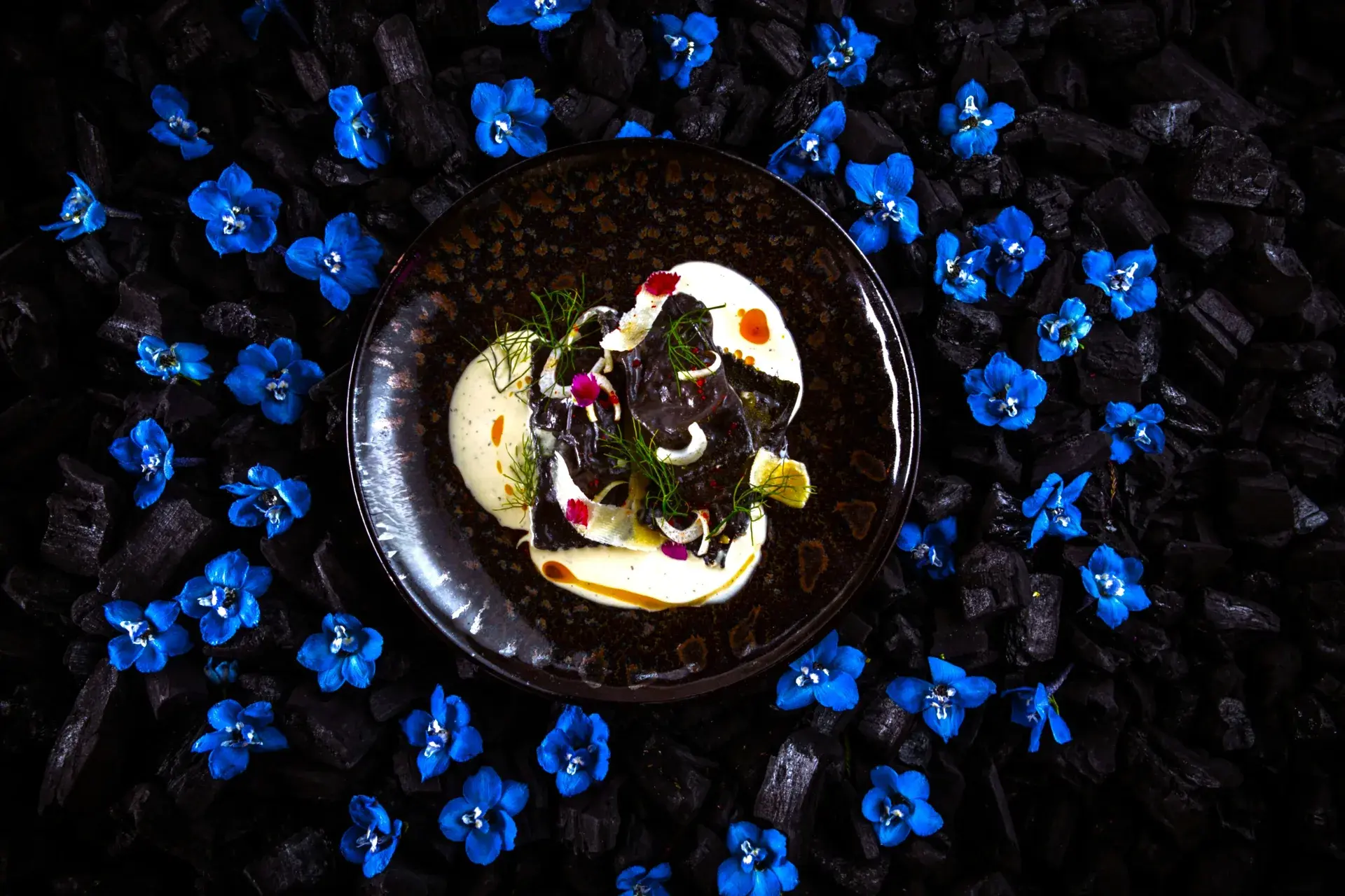 Sushi Art by Sebastian Nico